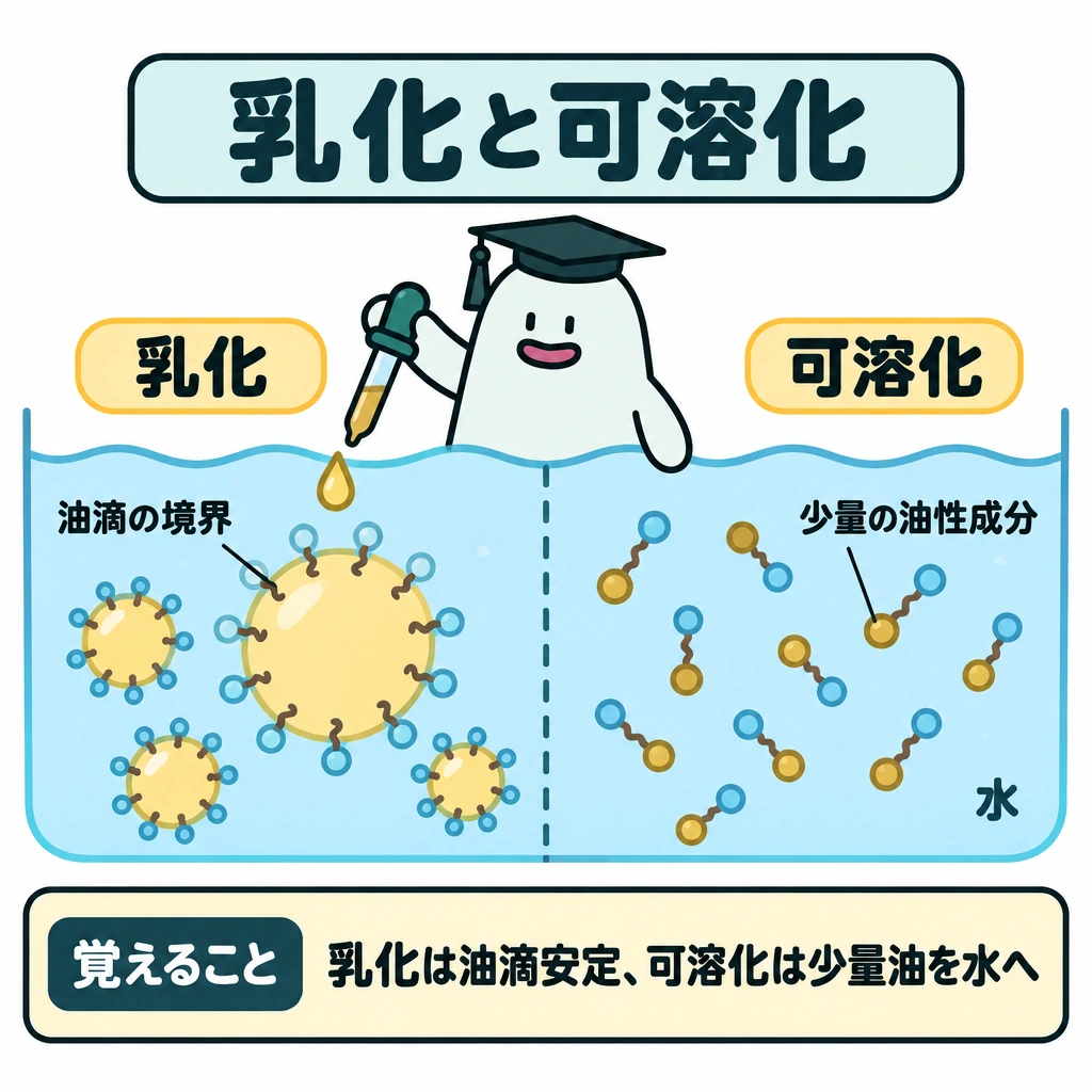 洗浄・乳化・可溶化を分けるの図解。一続きの水の図を点線で左右に分け、左は油滴と水の境界が安定する「乳化」、右は少量の油性成分が水に取り込まれる「可溶化」を描く。別々の場面にはせず、エルくんは1体だけ中央に置く。