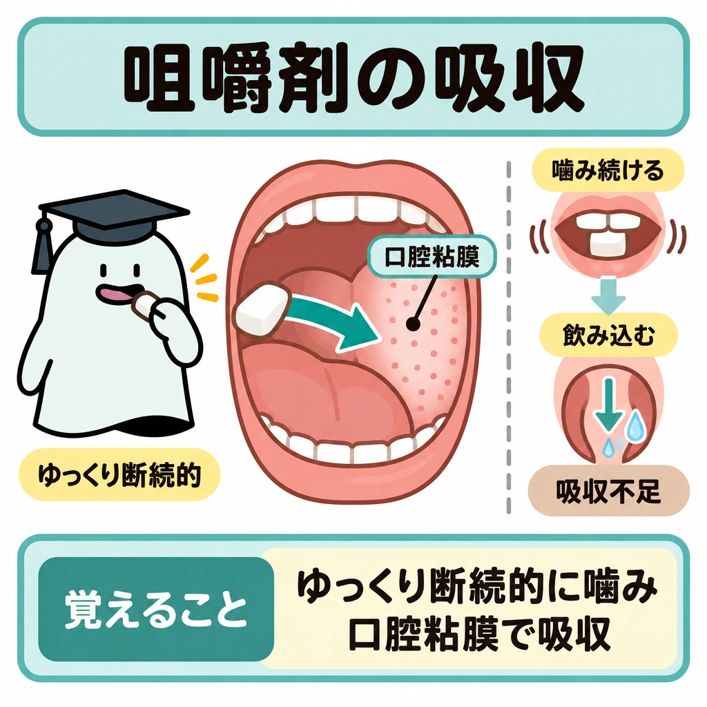 基本の仕組みの図解。中央に口の断面を大きく置き、左の太い矢印で咀嚼剤から口腔粘膜への吸収を示す。右には仕切りを挟み、噛み続けた場合に唾液とともに飲み込む下向きの経路を細く示す。