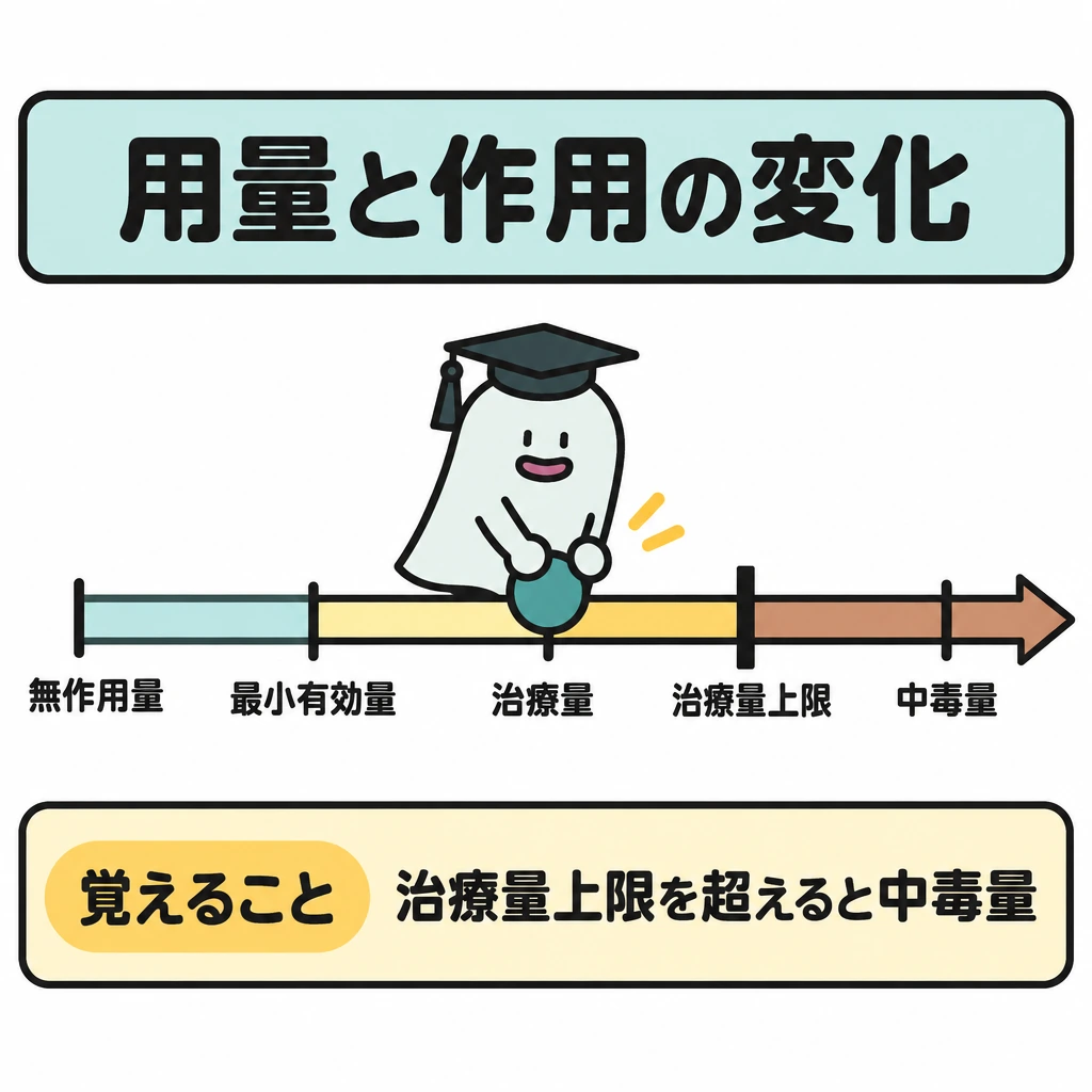 用量-反応関係と試験の基準の図解。中央に投与量が右へ増える1本の目盛りを置き、左から「無作用量」「最小有効量」「治療量」の順に示す。「治療量上限」に太い境界線を引き、その右に「中毒量」を配置する。