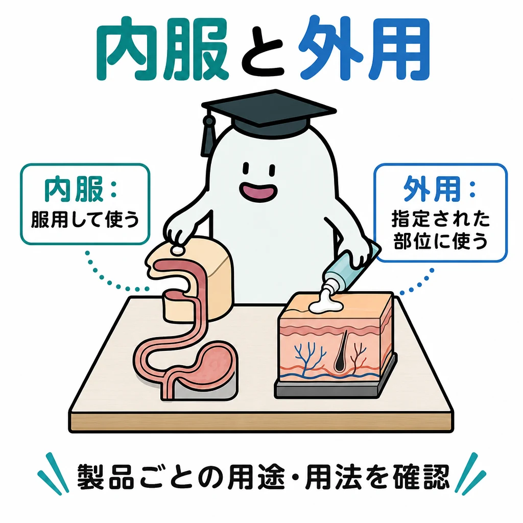 エルくんが口の模型へ内服薬を置き、皮膚の模型へ外用薬を塗って使用経路を比較する図。