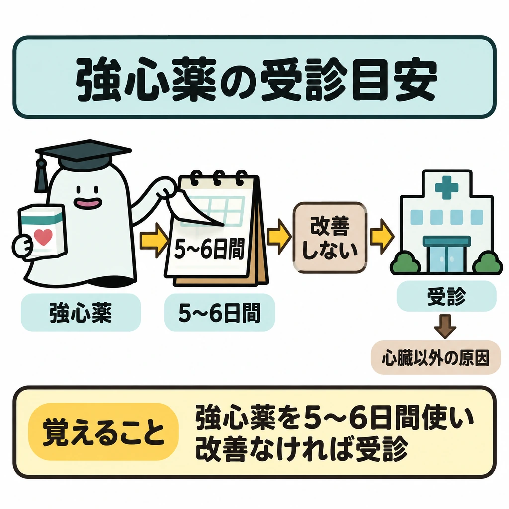 循環器・排泄・婦人薬の全体像の図解。左の「強心薬」から中央の「5〜6日間」のカレンダーへ矢印を引き、「改善しない」を経て右の「受診」へつなぐ。受診の矢印の下に「心臓以外の原因」も考える旨を小さく添える。