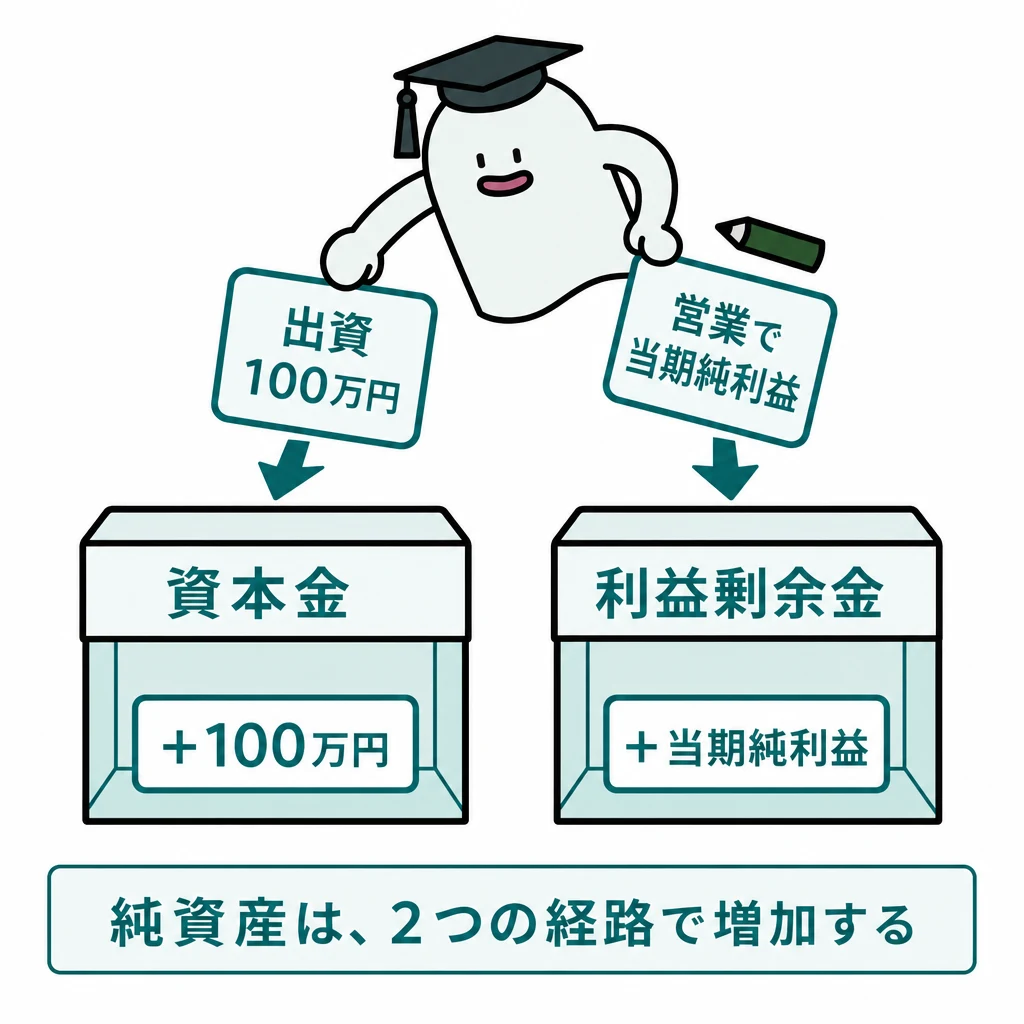 出資による資本金の増加と、当期純利益による利益剰余金の増加を別の経路で示す図。