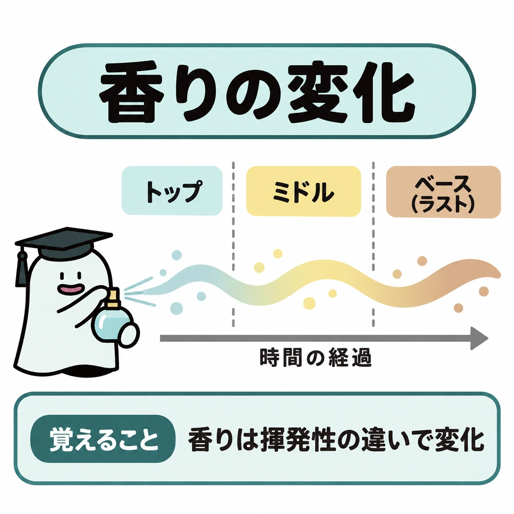 基本の仕組みの図解。正方形の中央に左から右へ進む時間の矢印を置き、点線の仕切りで「トップ→ミドル→ベース(ラスト)」の3区間に分ける。左端の香水瓶から始まる香りの線を、矢印に沿ってつなぐ。