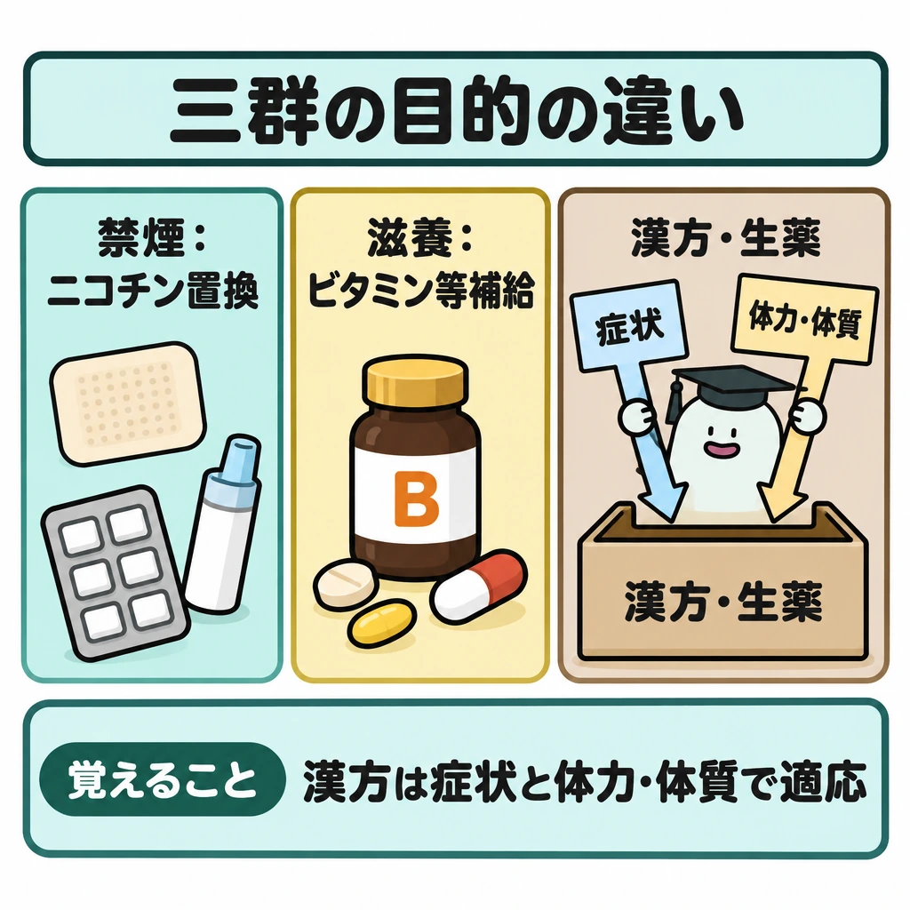 禁煙・滋養強壮・漢方の三群の図解。画面を縦に三分割し、左から禁煙補助剤のニコチン置換、滋養強壮保健薬のビタミン等補給、漢方・生薬の適応を並べる。右の枠では「症状」と「体力・体質」の二つを矢印で合流させ、両方を合わせて確認する関係を示す。