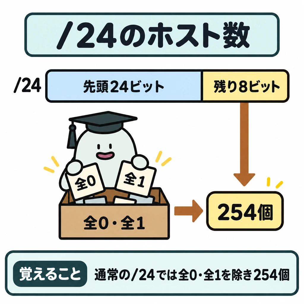 基本の仕組みの図解。中央に/24のIPアドレスを横長の帯で描き、縦線で左の先頭24ビットと右の残り8ビットを仕切る。右側のホスト部から下の候補箱へ矢印を伸ばし、全0・全1の2枚を取り除いた先に「254個」を置く。