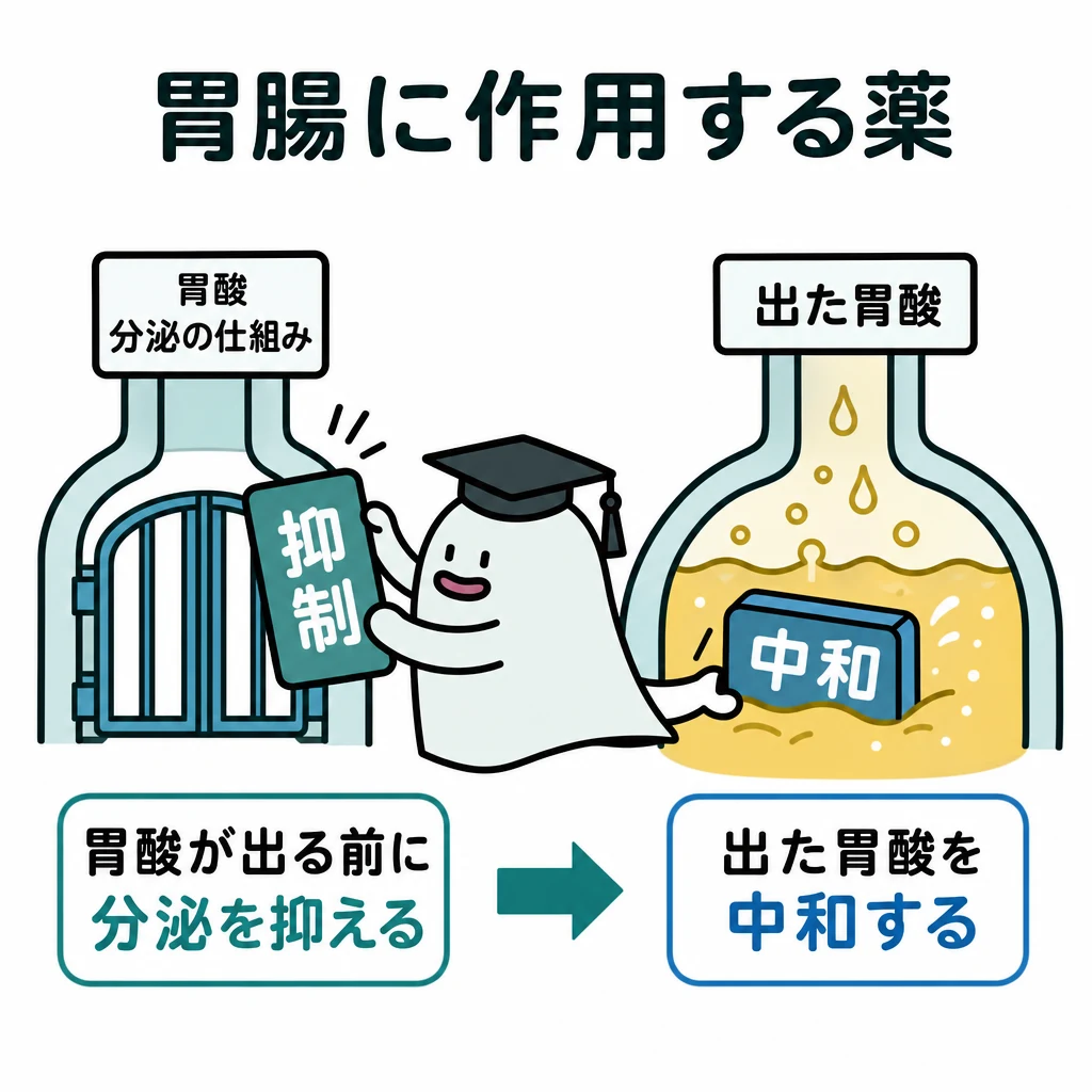 エルくんが説明する図解。胃酸が出る前の分泌抑制と、出た後の中和を別位置へ矢印。