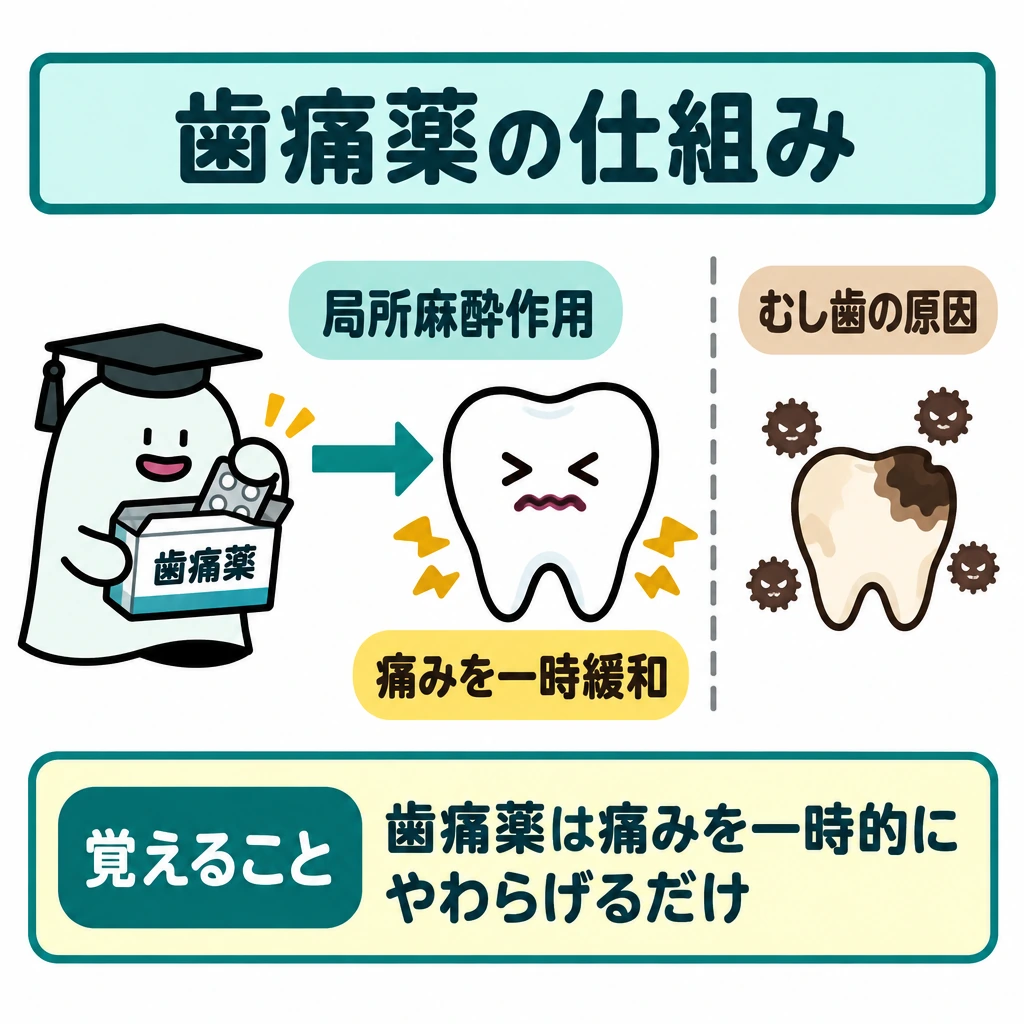 基本の仕組みの図解。中央に歯を1本大きく描き、左の「局所麻酔作用」から「痛み」へ矢印を向ける。右の「むし歯の原因」とは縦線で仕切り、原因へ向かう矢印は描かず、歯痛薬では取り除けないことを示す。