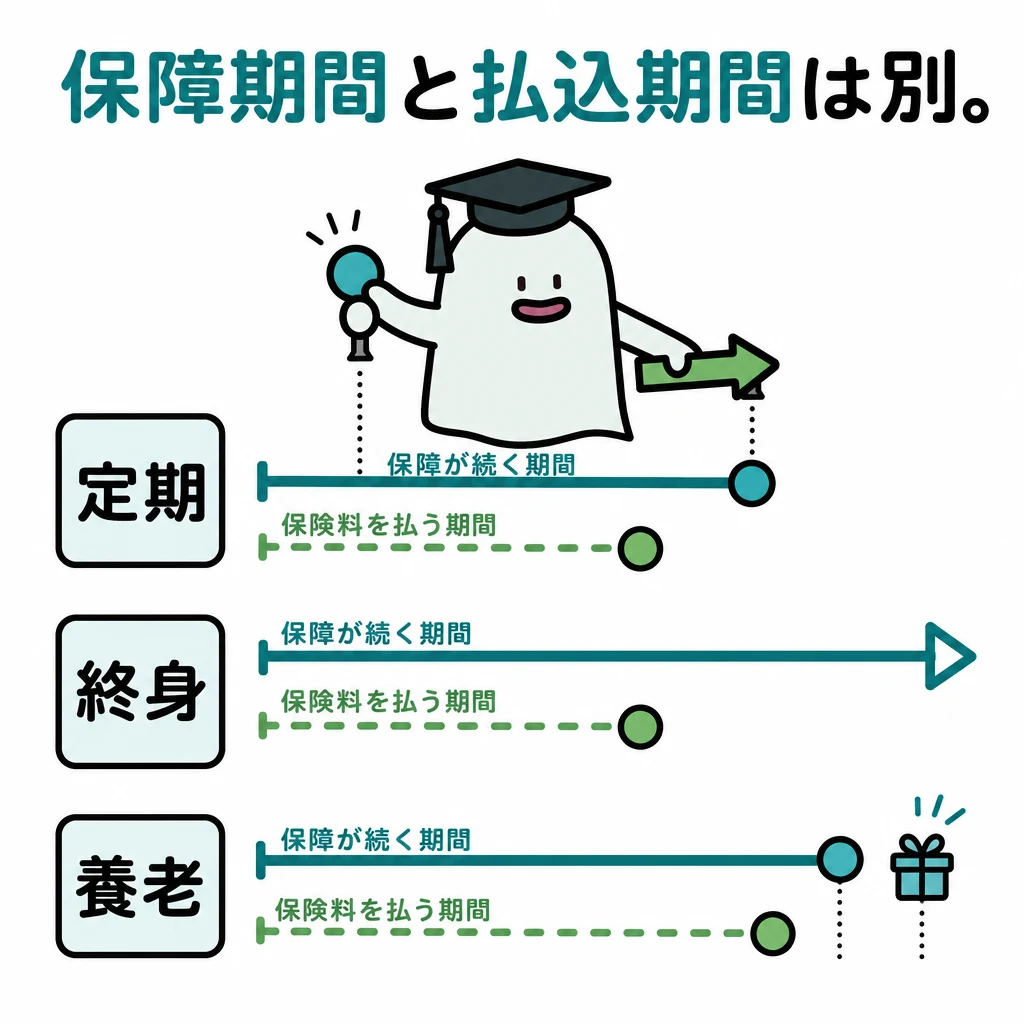 定期・終身・養老の保障の続く期間と、保険料を払う期間を分けた時間軸の図