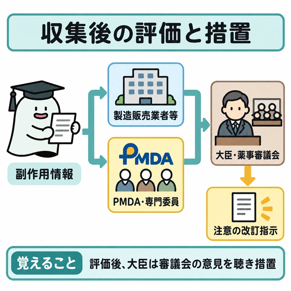 収集後の評価・措置の図解。左の副作用情報から中央の上下2段へ矢印を分け、上段は製造販売業者等の評価・検討、下段は専門委員の意見を聴くPMDAの調査・検討を示す。矢印を右で合流させ、薬事審議会の意見を聴いた厚生労働大臣から、措置例「使用上の注意の改訂指示」へ下向きに矢印を引く。