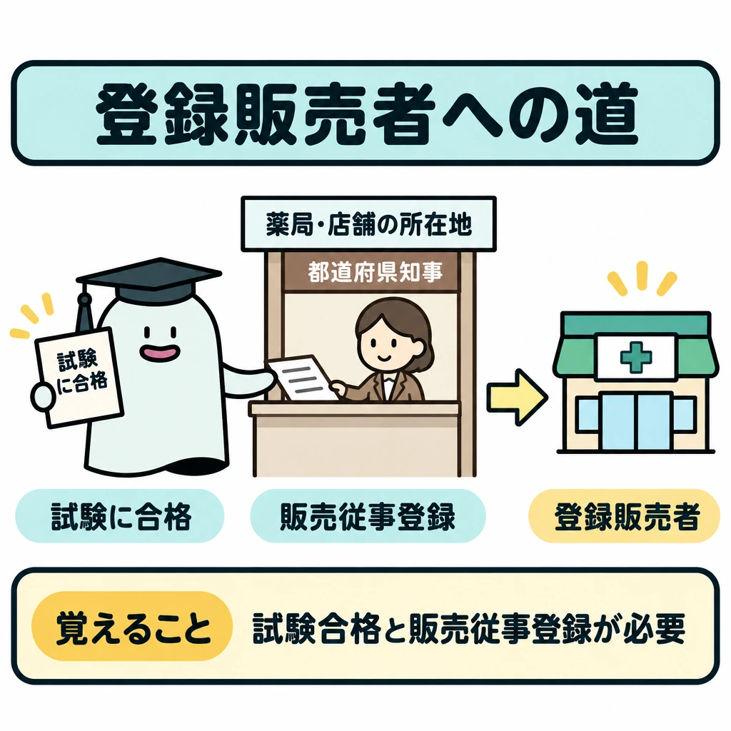 基本の仕組みの図解。左の「試験に合格」から中央の「販売従事登録」を経て、右の「登録販売者」へ矢印をつなぐ。中央には薬局・店舗の所在地を管轄する都道府県知事の登録窓口を描き、試験合格と登録の間を仕切る。