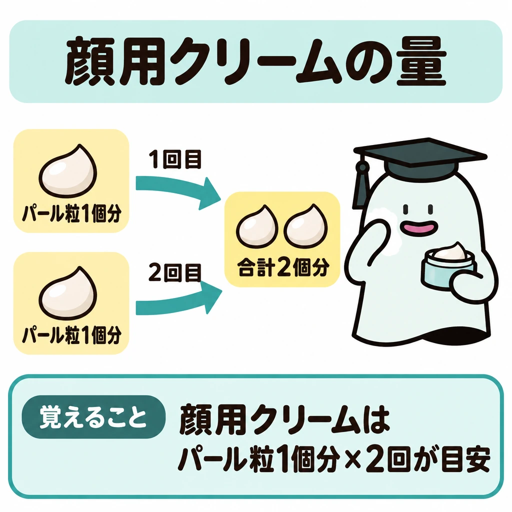 塗布量・塗り直し・UV耐水性の図解。左に「パール粒1個分」を上下に2つ置き、それぞれから「1回目」「2回目」の矢印を右のエルくんの顔へ向ける。矢印の先に「合計2個分」を置き、1個分ずつ2回塗る目安を示す。