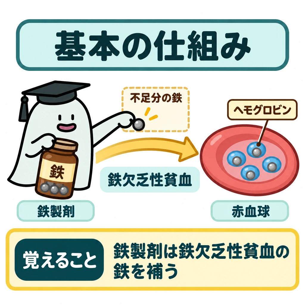 基本の仕組みの図解。左に鉄製剤、右に赤血球とその中のヘモグロビンを配置し、左から右へ「不足分の鉄を補う」矢印を引く。矢印の下に「鉄欠乏性貧血」と記し、鉄製剤を使う目的の対象を明示する。